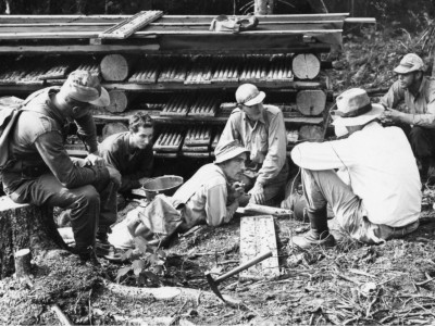 P055 Gilles O. Allard