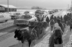 P114 S12 SS1 D56 Parade P  re No  l ass. march 16 d  c. 1978  4 