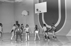 P114 S13 SS1 D6 P66  1er bloc JQ Chapais janvier 1979