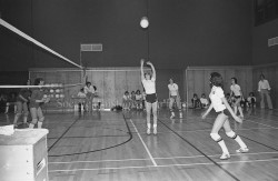 P114 S13 SS1 D9 P01  Chapais f  vrier 1979